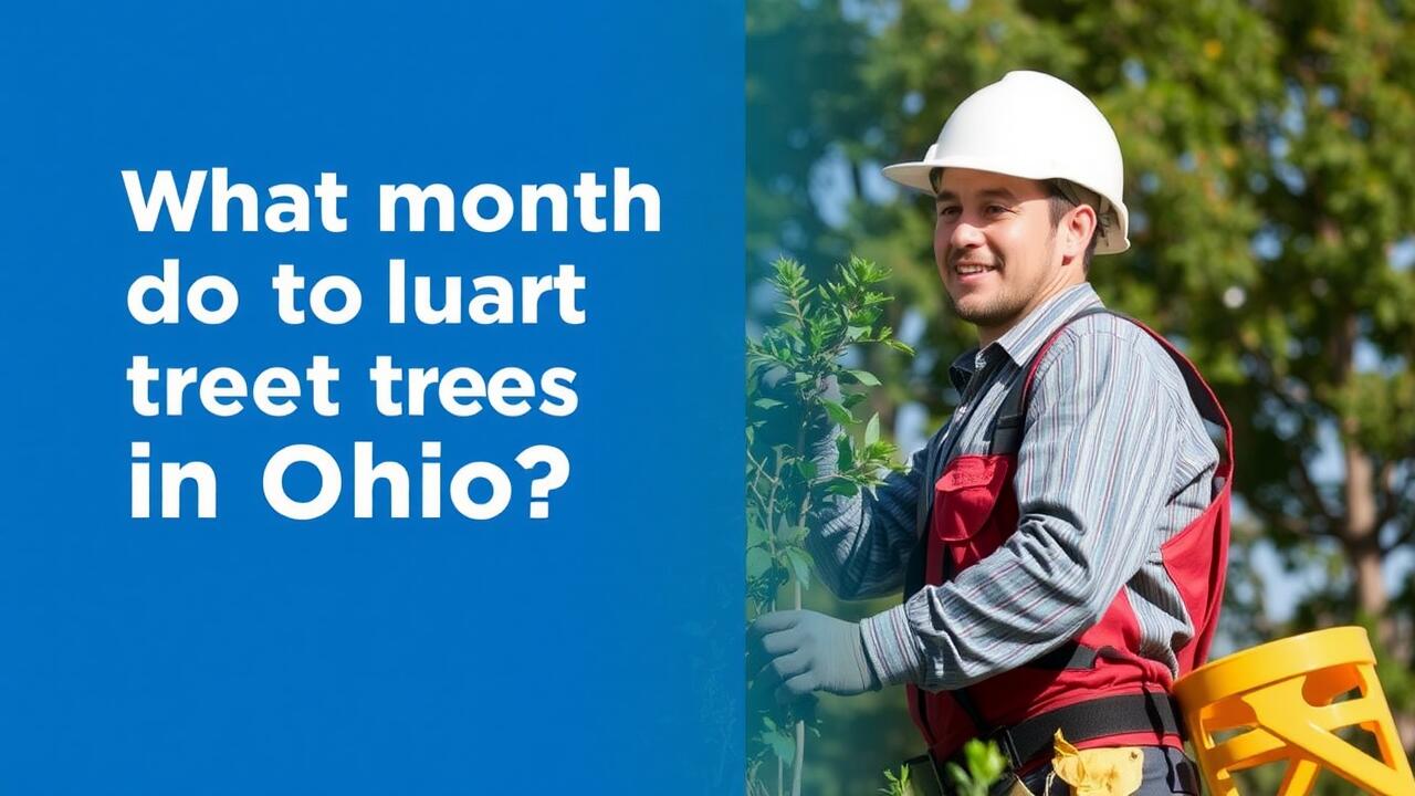 What month do you plant trees in Ohio?